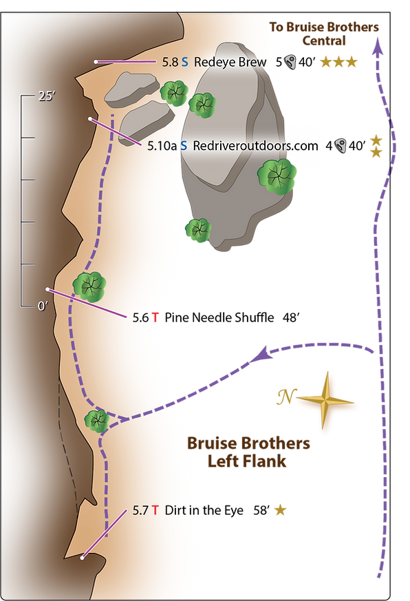 Bruise Brothers Left Flank web.png