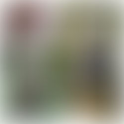 ¡Inhumano¡ envenenan a perros de manera masiva en Texmelucan