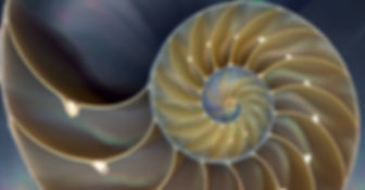 spirale-dor (1).jpg