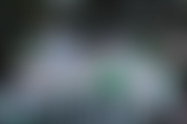 Juan Pablo Kuri Presentó a candidatos del 7 distritos del Partido Verde