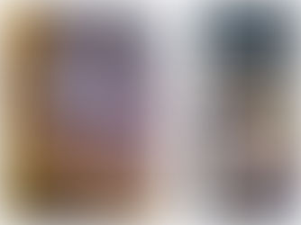 Norma Layón viola la ley de INE con actos anticipados de Campaña