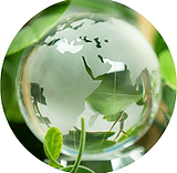 Uncertainly in Earth Resource Management