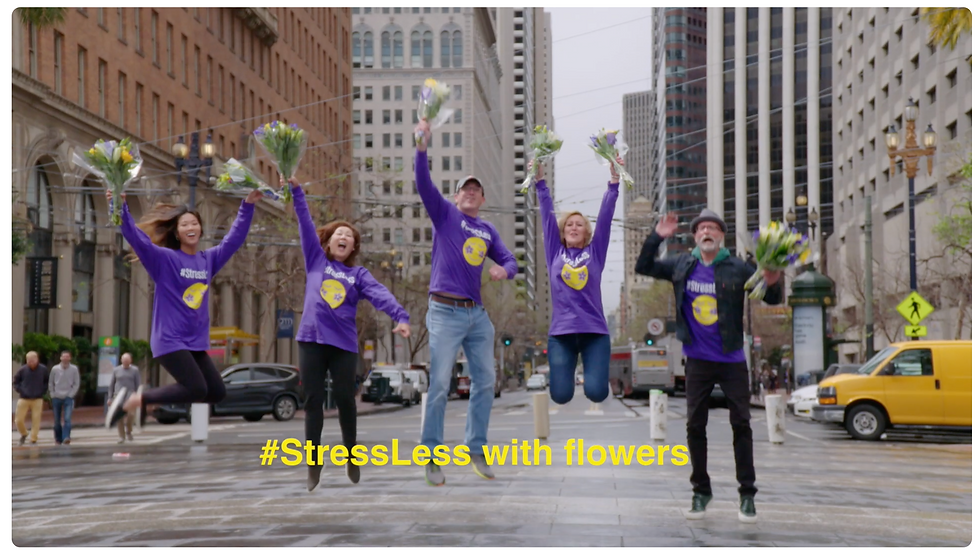 Another amazing campaign PMG did for Society of American Florists