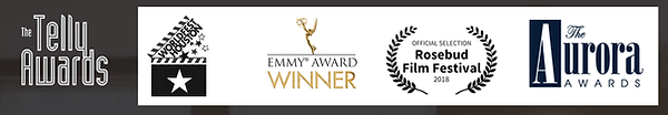 Videos awards PMG has won
