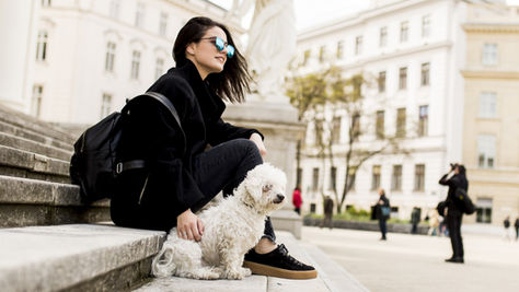 Turismo pet-friendly y comunicación ética: un enfoque necesario para destinos sostenibles