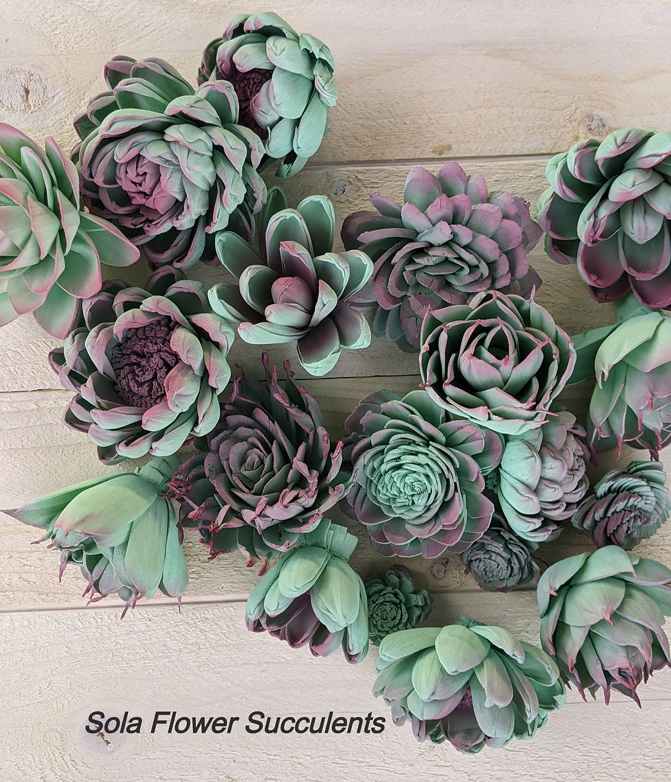 Wooden succulent flowers