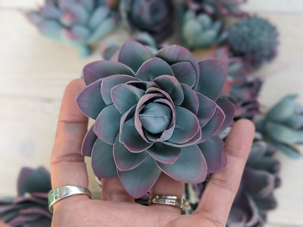 Hand holding a purple succulent