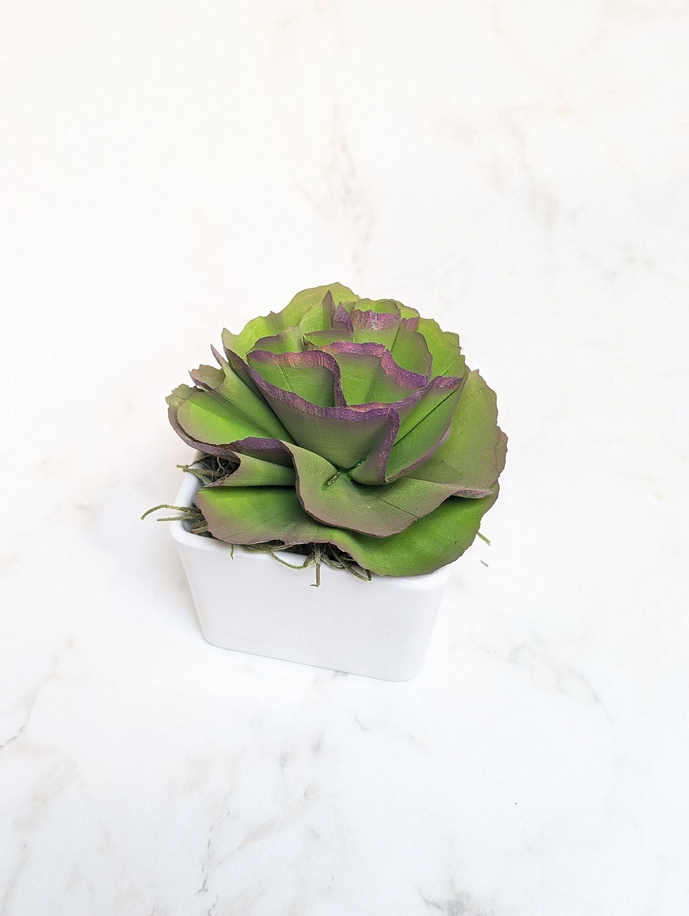 Thumbnail: Ceramic wooden succulent pot