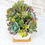 Thumbnail: Succulent design white ceramic pot