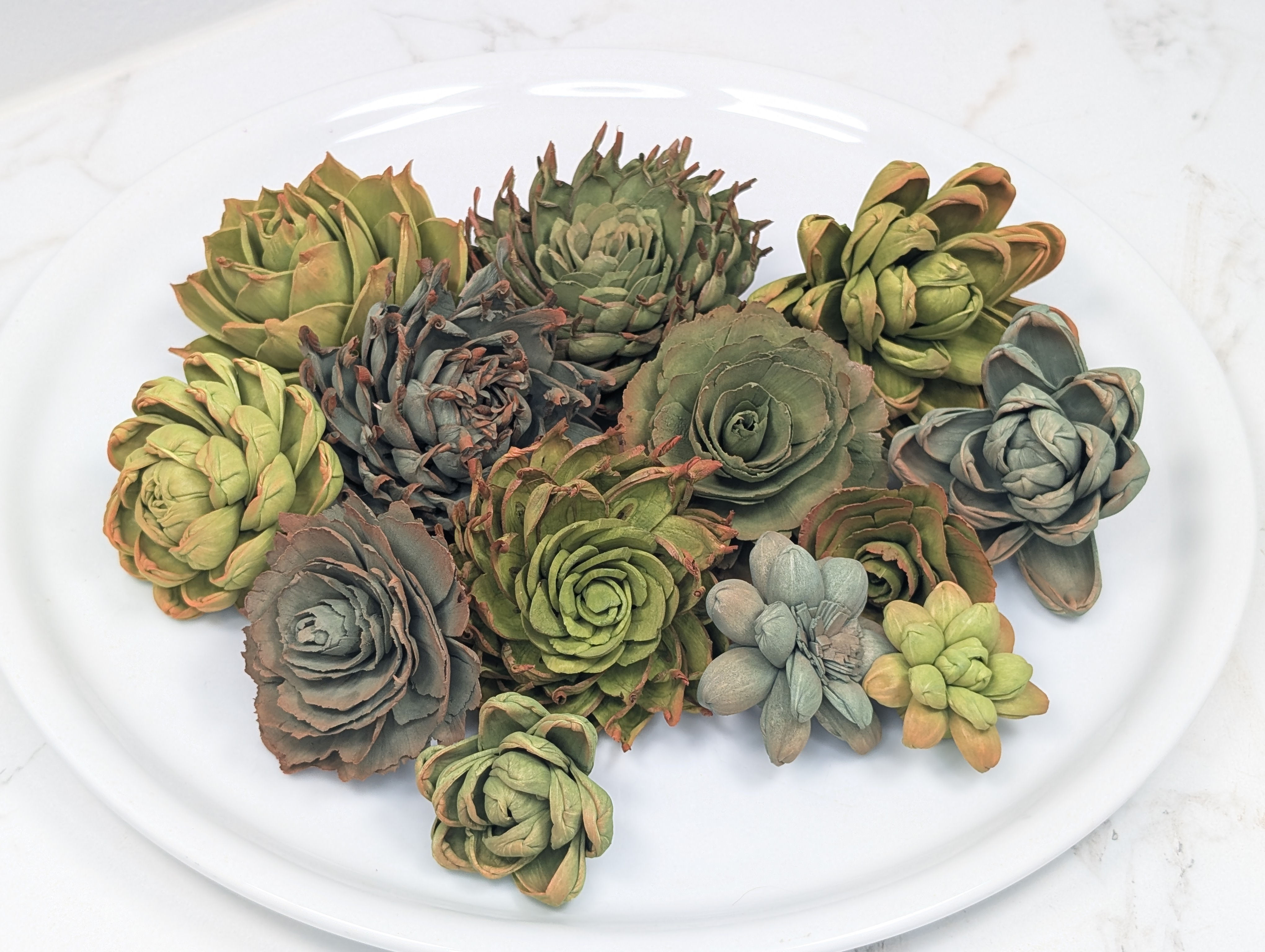 Assorted dozen wooden succulents