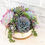 Thumbnail: Succulent design white round ceramic pot