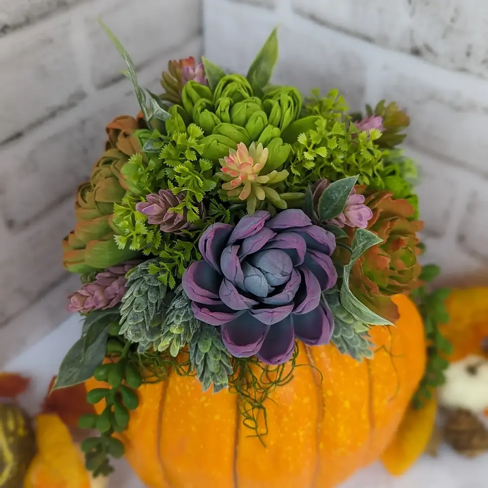 Thumbnail: Succulent pumpkin