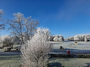 20260105_111155.jpg