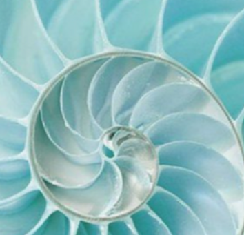 Sacred Geometry Symbols — The Meaning Behind Our Pendants