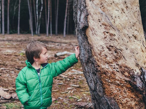 Nature Fosters Curiosity and Creativity