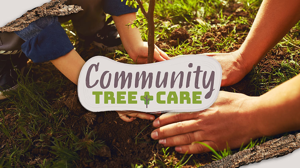 Fall Community Tree Planting Workshop