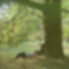 Plastic Ono Band (John Lennon)