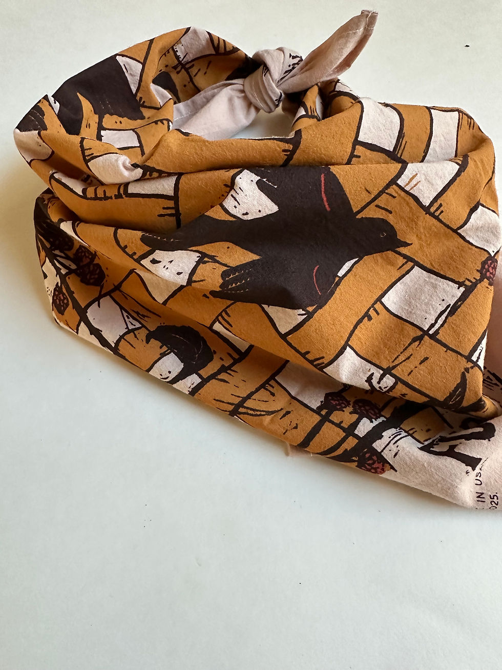 Thumbnail: September 2025 bandana by Aviva Pilgrim
