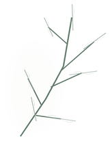 11_botanical_sprig.png