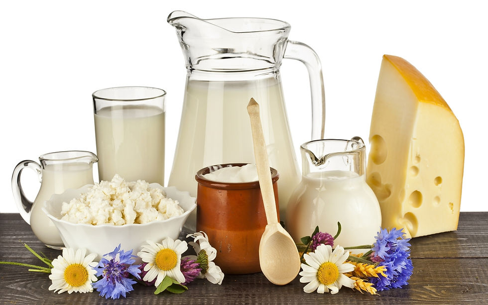 Dairy Products