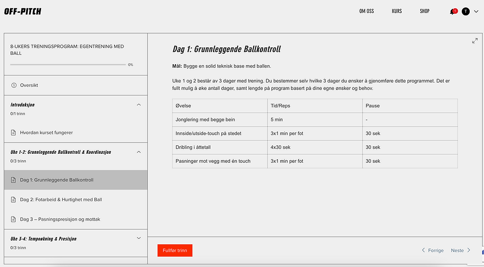 Miniatyrbilde: 8-UKERS TRENINGSPROGRAM: EGENTRENING MED BALL