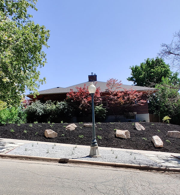 Xeriscape.jpg