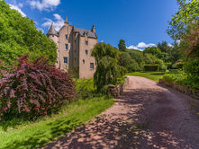 A castle seen through bushes