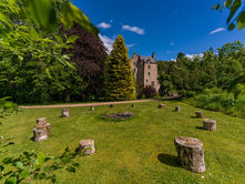 A circle of wooden stumps around a firepit in the foreground. A building in the background