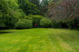 A green lawn surrounded by trees with a golf flag at one end
