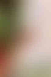 NYC brand photographer and videographer for businesses