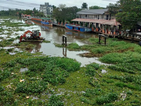 “Peek – A - Boo” game of the guests who never left