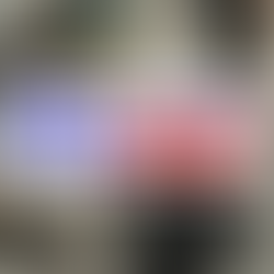 FL MULTIMODAL a organisé le transport de 4 vantaux...