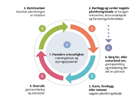 🌍 Langø Service viderefører arbeidet med ansvarlig drift og aktsomhetsvurderinger