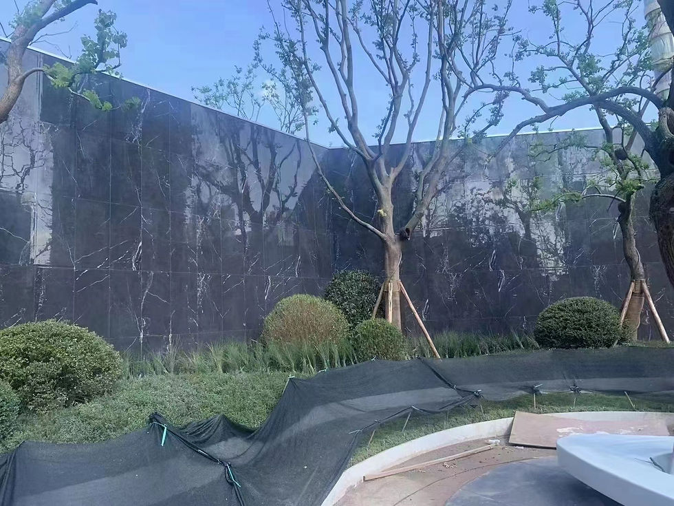 龍湖 春江天鏡