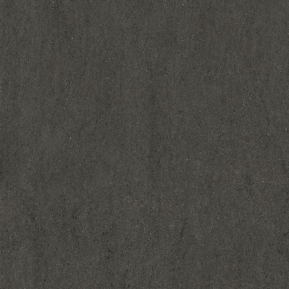 ROC BLK09N