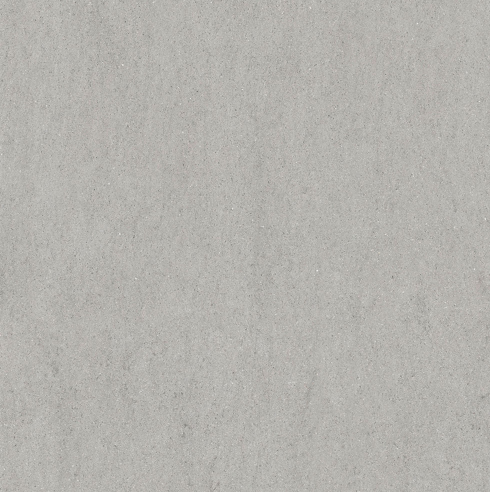 ROC SIL05N