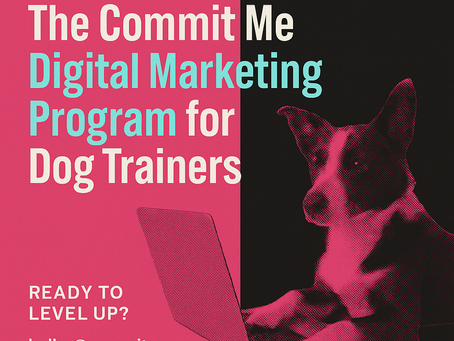 🚀 Launching: The COMMIT ME CO Digital Marketing Program for Dog Trainers