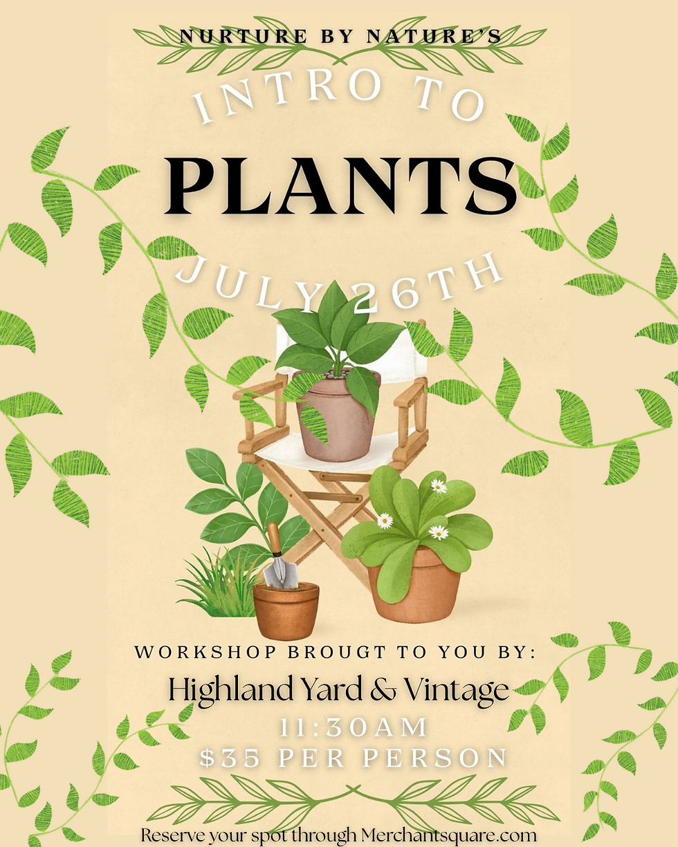 Beginner Plant Workshop