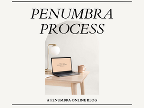 Welcome to Penumbra Process!