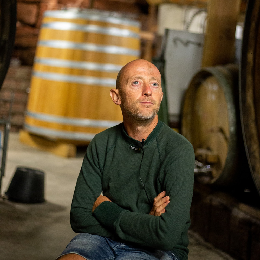 Le vigneron Christian Binner assis dans son chai bioclimatique, au milieu des foudres et tonneaux, en pull vert