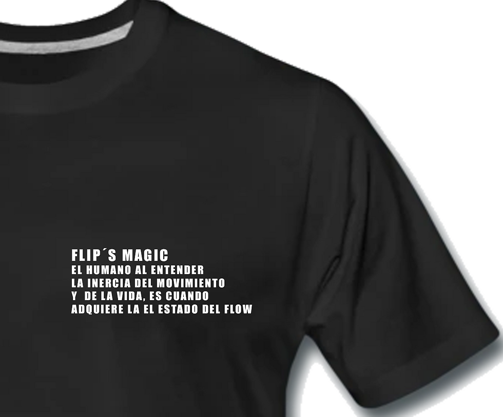 Miniatura: polera clasica flips