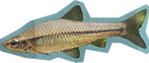 C3E1273C-1DA2-4D99-9580-E688FC2EEE38.png