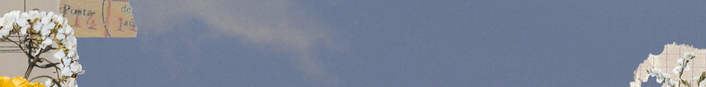 Copy of CT Speech & Action - Events (1).png