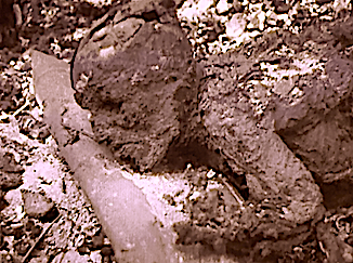 gruesome burned Jew 1945.png
