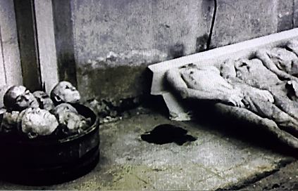 heads of prisoners in Nazi Germany.png