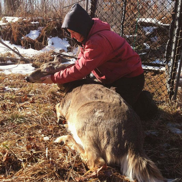 Weekly Blog Contributor