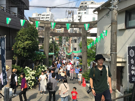 Hydrangea Matsuri 文京あじさい祭り