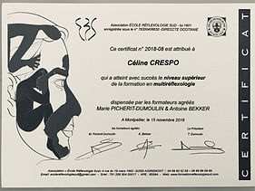 certif multi.jpeg