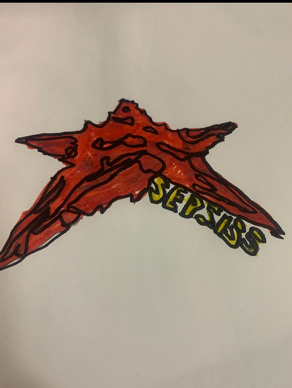 Drawn by Michelle Verico.