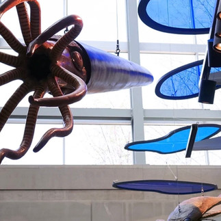 Model of a giant squid and colorful light fixtures hanging from the ceiling.